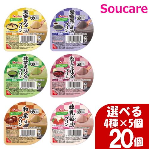 ハウスギャバン やさしくラクケア 和風デザート選べるセット 63g 150kcal 4種×5個 20...