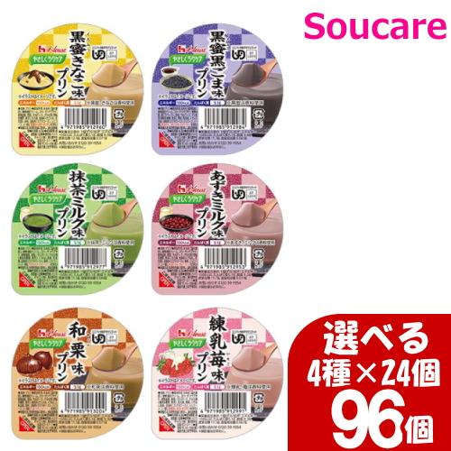 ハウスギャバン やさしくラクケア 和風デザート選べるセット 63g 150kcal 4種×24個 9...