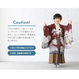 七五三 着物 5歳 販売 五歳 袴セット 羽織...の詳細画像5