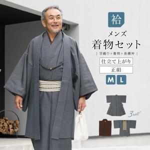 着物 セット メンズ 羽織 長襦袢 袷 男 アンサンブル