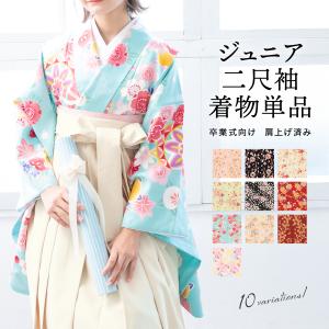 二尺袖着物 単品 仕立て上がり ボヌールセゾン ショート丈 黄緑×アイボリー soubien_assort-ni0005