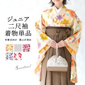 黒留袖 和田光正 正絹 金彩友禅 to-348 乱菊 糸菊 結婚式 : 京都うさぎ