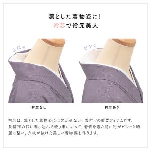 メッシュ衿芯 並尺 白 夏着物 浴衣 和装小物...の詳細画像1