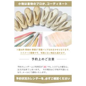 レンタル 訪問着 選べる フルセット 訪問着セ...の詳細画像5