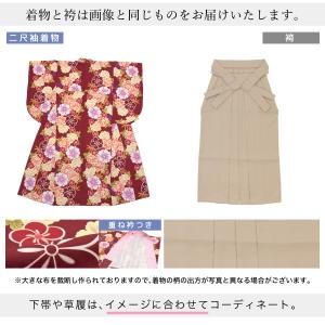 レンタル 卒業式 袴 女性 袴セット 赤茶 レ...の詳細画像3