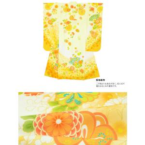 レンタル 卒業式 袴 女性 袴セット 黄色 イ...の詳細画像2