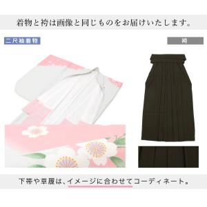 レンタル 卒業式 袴 先生 教員 女性 袴セッ...の詳細画像3