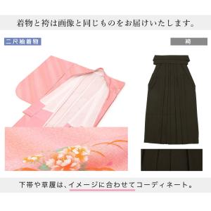 レンタル 卒業式 袴 先生 教員 女性 袴セッ...の詳細画像3