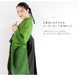 レンタル 卒業式 袴 先生 教員 女性 袴セッ...の詳細画像1