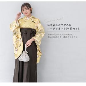 レンタル 卒業式 袴 女 女性 袴セット フル...の詳細画像1
