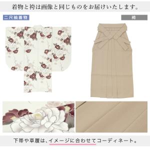 レンタル 卒業式 袴 女 女性 袴セット フル...の詳細画像3