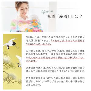 レンタル 産着 お宮参り 女の子 フルセット ...の詳細画像2