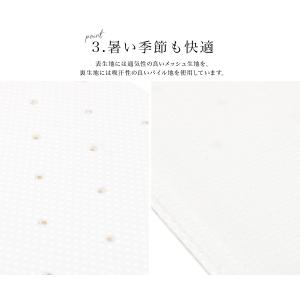 前結び板 着付け小物 メッシュ 日本製 お太鼓...の詳細画像3