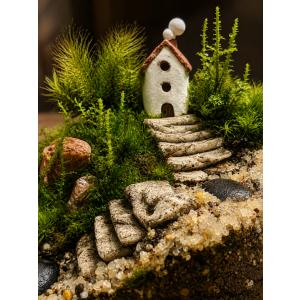 【完成品】苔テラリウム ミニチュアハウス ガラ...の詳細画像1