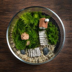 【完成品】苔テラリウム ミニチュアハウス ガラ...の詳細画像2