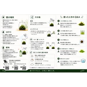 【完成品】苔テラリウム ミニチュアハウス ガラ...の詳細画像4