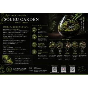 【完成品】苔テラリウム ミニチュアハウス ガラ...の詳細画像5
