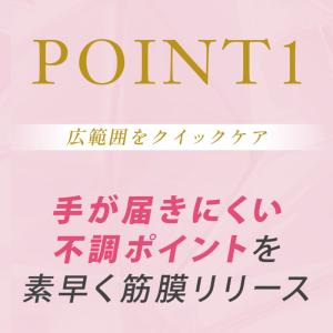FJ-605 ぶるケア メーカー公式 筋膜リリ...の詳細画像5