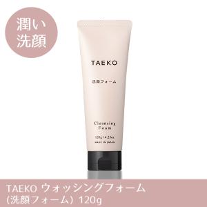 C523 ノームプラス ファインバブルウォッシュ 200g 泡立て不要 泡洗顔