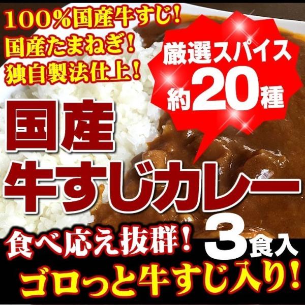 牛すじカレー 3袋 100％国産 牛すじ たまねぎ使用 中辛 惣菜 レトルト 送料無料 非常食 おつ...