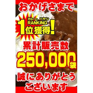 牛すじカレー 3袋 100%国産 牛すじ たま...の詳細画像4
