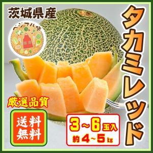 メロン 茨城県産 果物 送料無料  タカミレッド 約4kgから5kg  赤肉メロン 3玉から6玉入 産地箱 貴味 タカミメロン セール