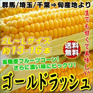 とうもろこし ゴールドラッシュ お取り寄せ 美味しい 約13本から16本 4kg 2LからLサイズ　群馬/埼玉/千葉産　送料無料 スイートコーン BBQ