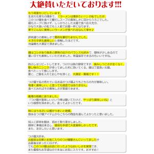 東京高円寺 麺処 田ぶし つけ麺 6食入り こ...の詳細画像5