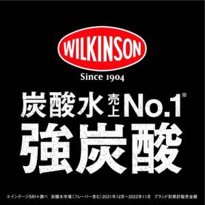 ウィルキンソン タンサン ( 500ml×48...の詳細画像2