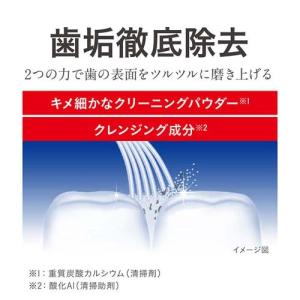 デンター クリアMAX スペアミント タテ型 ...の詳細画像1