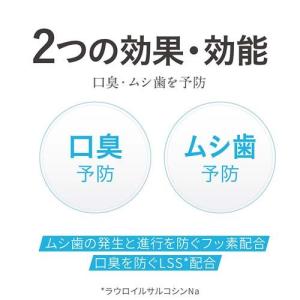 デンター クリアMAX スペアミント タテ型 ...の詳細画像2