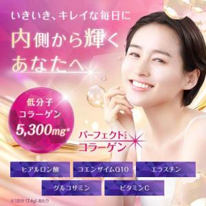 パーフェクトアスタコラーゲン パウダー 60日...の詳細画像2