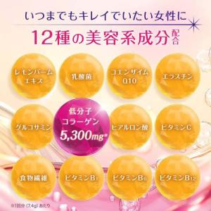 パーフェクトアスタコラーゲン パウダー 60日...の詳細画像4