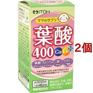 葉酸400 Ca・Feプラス ( 120粒*2コセット )/ 井藤漢方｜soukai