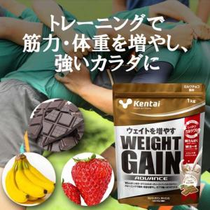 Kentai(ケンタイ) ウェイトゲインアドバ...の詳細画像2