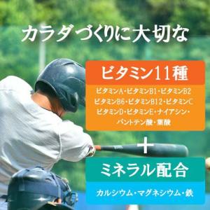 Kentai(ケンタイ) ウェイトゲインアドバ...の詳細画像4
