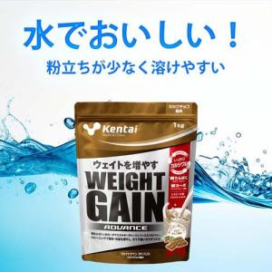 Kentai(ケンタイ) ウェイトゲインアドバ...の詳細画像5
