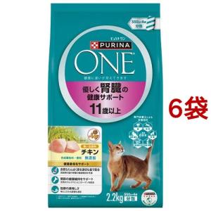 ピュリナ ワン キャット パウチ 美味を求める成猫用 1歳以上