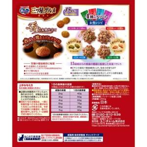 銀のスプーン 三ツ星グルメ 腎臓の健康維持用 ...の詳細画像1