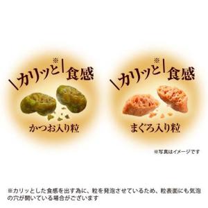 銀のスプーン 三ツ星グルメ 腎臓の健康維持用 ...の詳細画像5