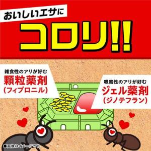 スーパーアリの巣コロリ アリ駆除剤 置き型 殺...の詳細画像3