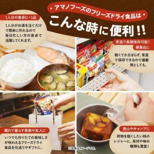 アマノフーズ いつものおみそ汁 野菜 ( 10...の詳細画像5