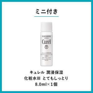 キュレル 潤浸保湿 パウダーバーム +化粧水3...の詳細画像1
