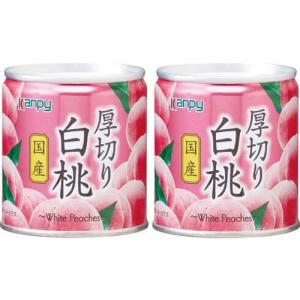 Fruits×Fruits パインアップル ( 260g )/ Kanpy(カンピー