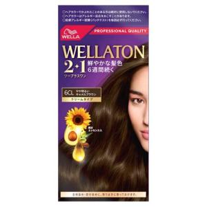 WELLATON 2+1 ヘアカラー 5B 白髪染め　 10個セット ウエラトーン2+1 クリームタイプ 5B 自然なピュアブラウン ( 1箱
