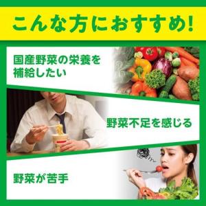 DHC 国産パーフェクト野菜プレミアム 60日...の詳細画像2