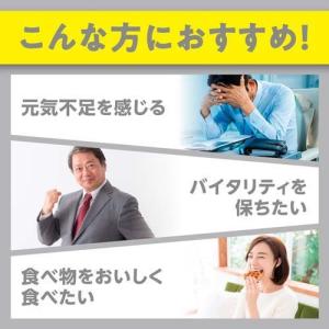 DHC 90日分 亜鉛 ( 90粒入 )/ D...の詳細画像2