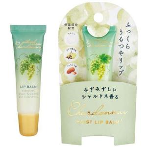 資生堂 アウスレーゼ ボリュームセット リキッド ( 198ml