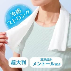 キモチ 氷冷タオル ペンギン ( 5個入り )の詳細画像4