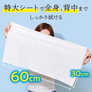 キモチ 氷冷タオル ペンギン ( 5個入り )の詳細画像5